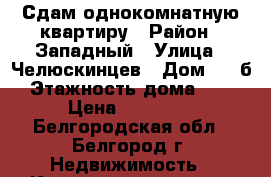 Сдам однокомнатную квартиру › Район ­ Западный › Улица ­ Челюскинцев › Дом ­ 58б › Этажность дома ­ 10 › Цена ­ 11 000 - Белгородская обл., Белгород г. Недвижимость » Квартиры аренда   . Белгородская обл.